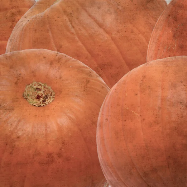 Čtvercový Stylový Starý Texturovaný Papír Pozadí Oranžovou Halloween Dýně — Stock fotografie