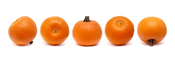 Borde Horizontal Calabazas Redondas Anaranjadas Aisladas Sobre Fondo Blanco — Foto de Stock