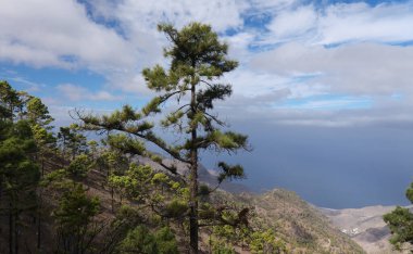 Gran Canaria, adanın merkezi anıtsal bölgesinin manzarası, Las Cumbres, ie The Summits, Altavista 'ya yürüyüş güzergahı, Aborjin adı Azaenegue, Artenara belediyesindeki dağ 