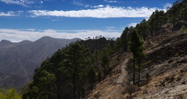 Gran Canaria, adanın merkezi anıtsal bölgesinin manzarası, Las Cumbres, ie The Summits, Altavista 'ya yürüyüş güzergahı, Aborjin adı Azaenegue, Artenara belediyesindeki dağ