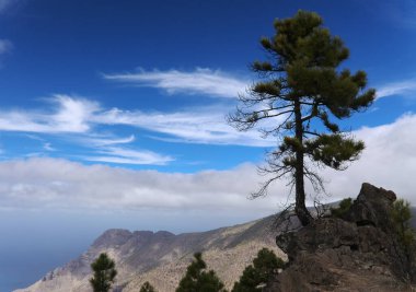 Gran Canaria, adanın merkezi anıtsal bölgesinin manzarası, Las Cumbres, ie The Summits, Altavista 'ya yürüyüş güzergahı, Aborjin adı Azaenegue, Artenara belediyesindeki dağ