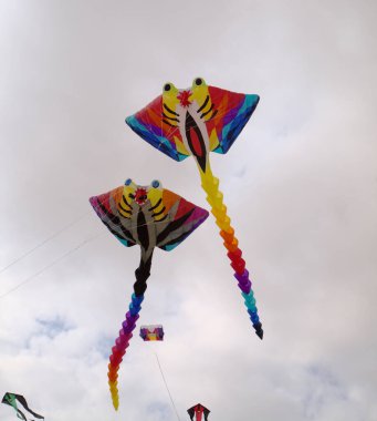 Fuerteventura, İspanya - 12 Kasım: İzleyiciler 12 Kasım 2021 'de Corralejo, Fuerteventura, İspanya' da düzenlenen Uluslararası Uçurtma Festivali 'nde çok renkli uçurtmaların keyfini çıkarıyorlar.