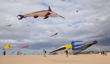 Fuerteventura, İspanya - 12 Kasım: İzleyiciler 12 Kasım 2021 'de Corralejo, Fuerteventura, İspanya' da düzenlenen Uluslararası Uçurtma Festivali 'nde çok renkli uçurtmaların keyfini çıkarıyorlar.