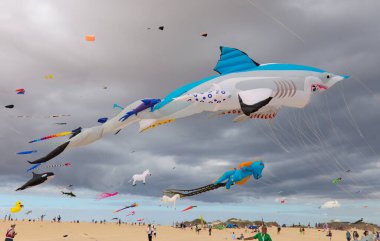 Fuerteventura, İspanya - 12 Kasım: İzleyiciler 12 Kasım 2021 'de Corralejo, Fuerteventura, İspanya' da düzenlenen Uluslararası Uçurtma Festivali 'nde çok renkli uçurtmaların keyfini çıkarıyorlar.