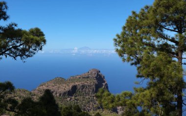 Büyük Kanarya, Doğa Parkı Tamadaba 'daki adanın dağlık kesiminin manzarası, Avrupa' nın en yüksek uçurumu olan Faneque 'ye yürüyüş rotası.