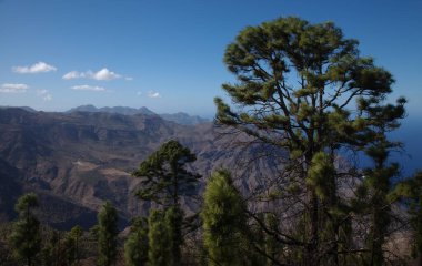 Gran Canaria, landscape of the mountainous part of the island in the Nature Park Tamadaba, hiking route to Faneque, the tallest over-the-sea cliff of Europe clipart