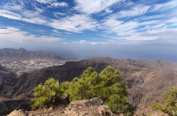 Gran Canaria Τοπίο Του Κεντρικού Ορεινό Τμήμα Του Νησιού Las — Φωτογραφία Αρχείου