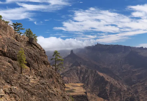 Gran Canaria Paisaje Parte Montañosa Central Isla Las Cumbres Decir — Foto de Stock