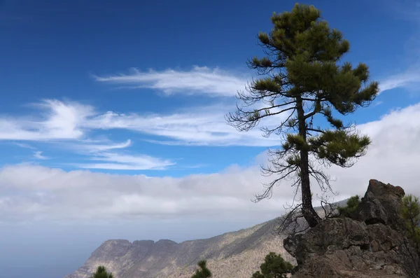 Gran Canaria Paisaje Parte Montañosa Central Isla Las Cumbres Decir —  Fotos de Stock