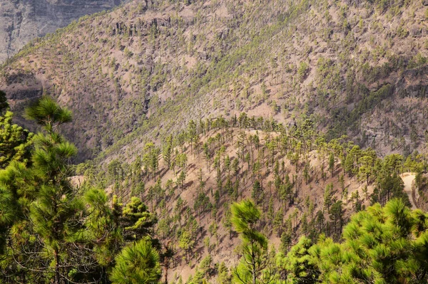 Gran Canaria Paysage Partie Montagneuse Centrale Île Las Cumbres Savoir — Photo