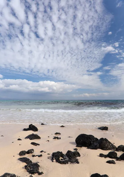 Fuerteventura Ilhas Canárias Praias Colectivamente Chamadas Grandes Playas Beira Parque — Fotografia de Stock