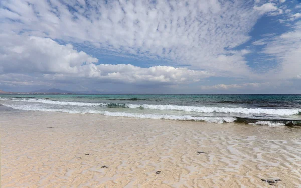 Fuerteventura Kanarya Adaları Corralejo Nun Doğa Park Kumulları Nın Kenarındaki — Stok fotoğraf