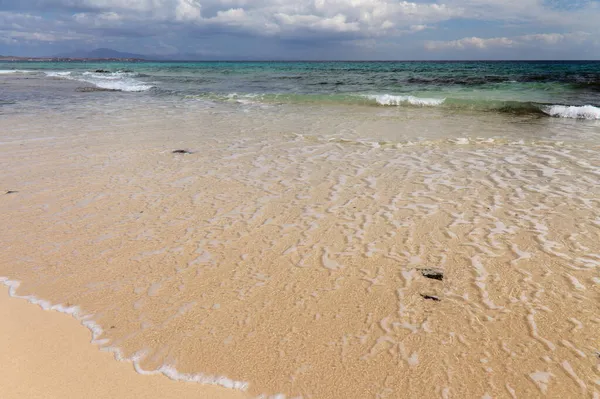 Fuerteventura Isole Canarie Spiagge Chiamate Collettivamente Grandes Playas Margini Del — Foto Stock