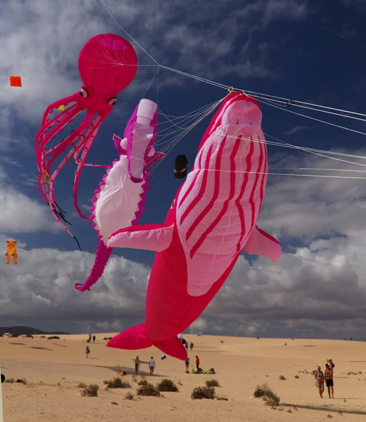 Fuerteventura España Noviembre Los Espectadores Disfrutan Cometas Multicolores Volando Festivales —  Fotos de Stock