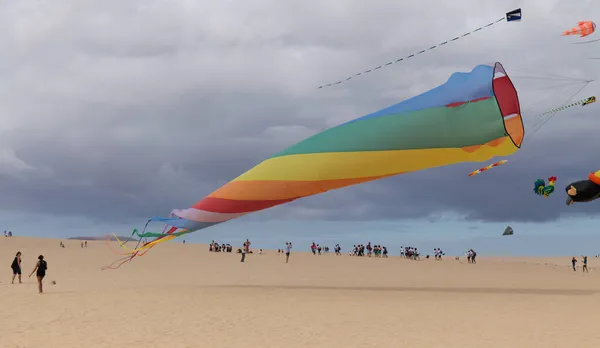 Fuerteventura Spanje November Kijkers Genieten Van Veelkleurige Vliegers Het International — Stockfoto