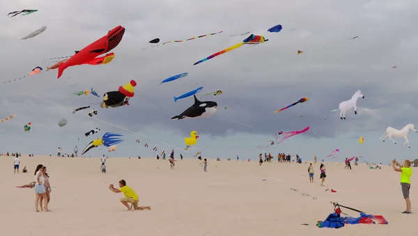 Fuerteventura Spagna Novembre Gli Spettatori Possono Ammirare Aquiloni Multicolori Che — Foto Stock