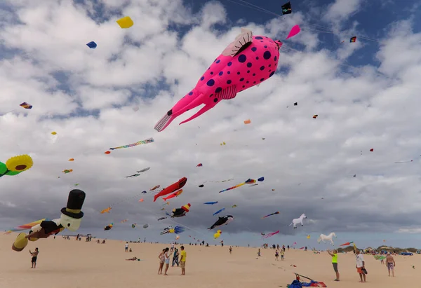 Fuerteventura Spagna Novembre Gli Spettatori Possono Ammirare Aquiloni Multicolori Che — Foto Stock