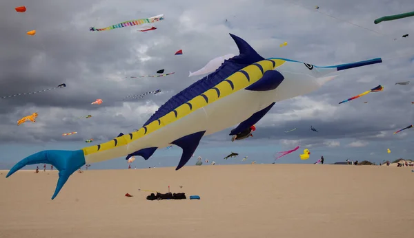 Fuerteventura Spanyolország November Nézők Élvezhetik Sokszínű Sárkányok Repülését Corralejo Természetvédelmi — Stock Fotó