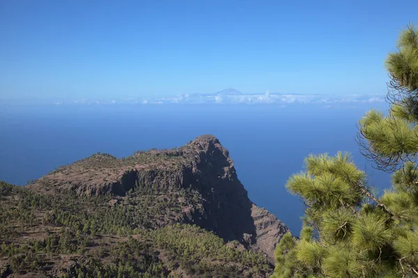 Gran Canaria Paisaje Parte Montañosa Isla Parque Natural Tamadaba Ruta — Foto de Stock