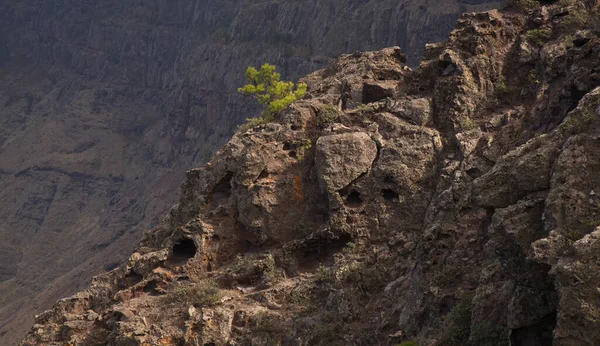 Gran Canaria Paysage Partie Montagneuse Île Dans Parc Naturel Tamadaba — Photo