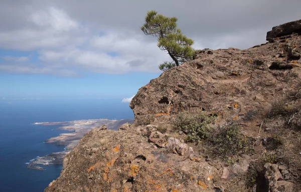 Gran Canaria Landscape Mountainous Part Island Nature Park Tamadaba Hiking — Stock Photo, Image