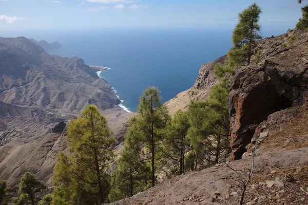 Gran Canaria Paesaggio Della Parte Montuosa Dell Isola Nel Parco — Foto Stock