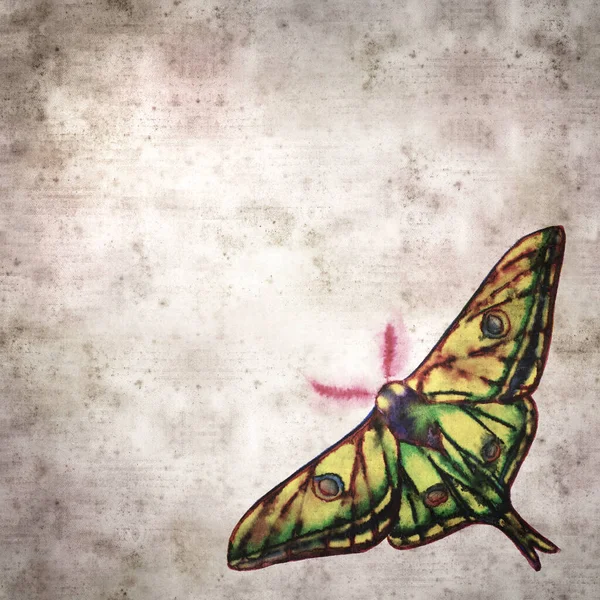 Stylish Textured Old Paper Background Graellsia Isabellae Spanish Moon Moth — Stock Photo, Image