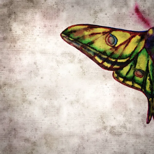 Stylish Textured Old Paper Background Graellsia Isabellae Spanish Moon Moth — Stock Photo, Image