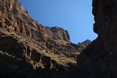 Büyük Kanarya, adanın merkezi dağlık kesiminin manzarası, doğa parkı Pajonales 'in kıyısındaki Barranco de Siberio vadisinde yürüyüş rotası çevresindeki manzaralar.