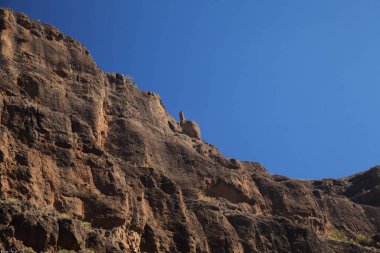 Büyük Kanarya, adanın merkezi dağlık kesiminin manzarası, doğa parkı Pajonales 'in kıyısındaki Barranco de Siberio vadisinde yürüyüş rotası çevresindeki manzaralar.