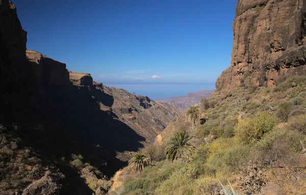 Gran Canaria Landskap Den Centrala Bergiga Delen Landskap Runt Vandringsled — Stockfoto