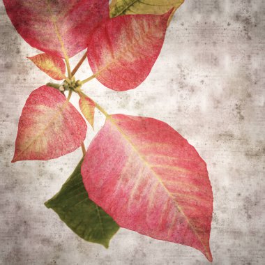 kare biçiminde eski desenli, pembe noktalı yapraklı arka plan 