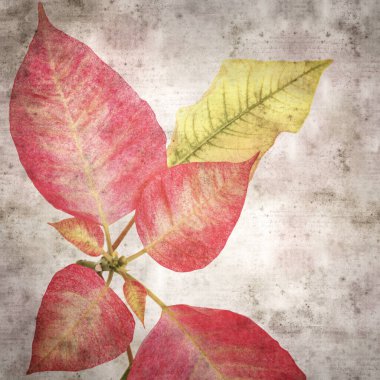 kare biçiminde eski desenli, pembe noktalı yapraklı arka plan 