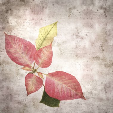 kare biçiminde eski desenli, pembe noktalı yapraklı arka plan 