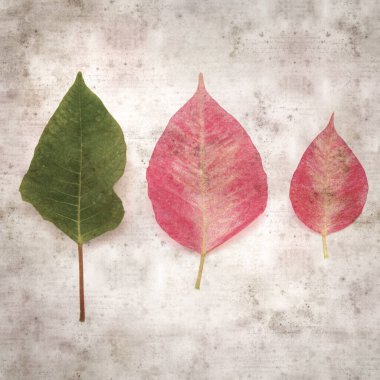 kare biçiminde eski desenli, pembe noktalı yapraklı arka plan 