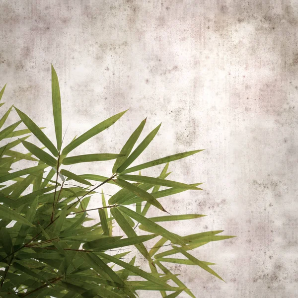 Stylish Textured Old Paper Background Bamboo Branches — Stock Photo, Image