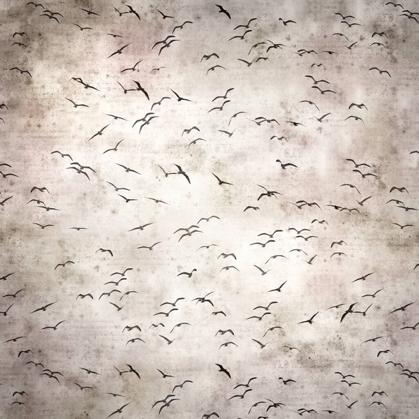 Stylish Textured Old Paper Background Flock Flying Seagulls — Stock Photo, Image