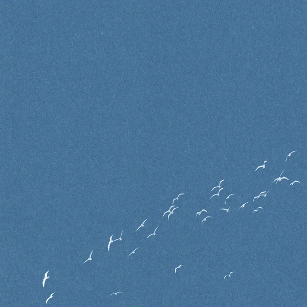 Κομψό Υφή Παλιό Φόντο Χαρτί Ένα Σμήνος Από Ιπτάμενους Γλάρους — Φωτογραφία Αρχείου
