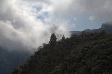 Gran Canaria, Valsequillo belediyesindeki Tenteniguada köyü ile Pico de las Nieves arasındaki yürüyüş rotası, adanın en yüksek noktası, Aralık