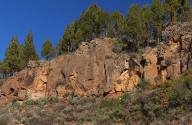 İçinde küçük yuvarlak hava kabarcıkları olan buz dokusu. 