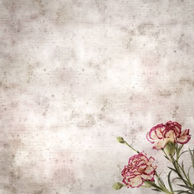 Kare biçiminde eski desenli kağıt arka planda krema ve koyu kırmızı karanfil çiçeği 