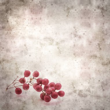 Pembe biber ağacının küçük bir dalı ve meyveli şık desenli eski kağıt arka plan