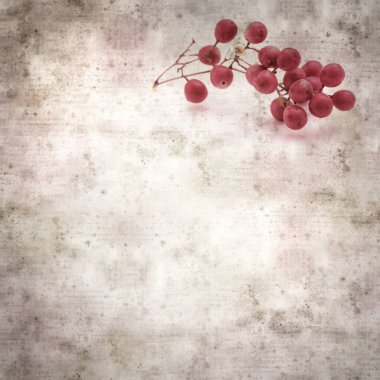 Pembe biber ağacının küçük bir dalı ve meyveli şık desenli eski kağıt arka plan