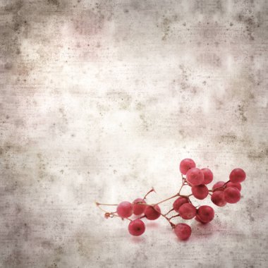 Pembe biber ağacının küçük bir dalı ve meyveli şık desenli eski kağıt arka plan