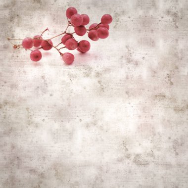 Pembe biber ağacının küçük bir dalı ve meyveli şık desenli eski kağıt arka plan