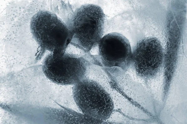 Ледяная Текстура Маленькими Круглыми Пузырьками Воздуха — стоковое фото