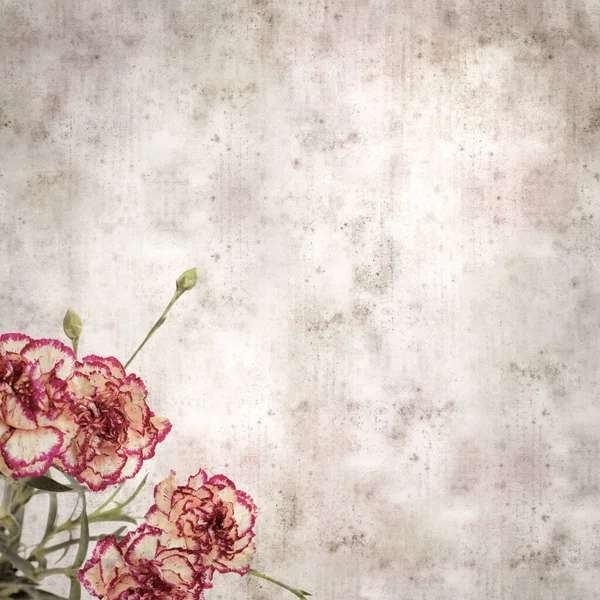 Square Stylish Old Textured Paper Background Cream Dark Red Carnation — Stock Photo, Image