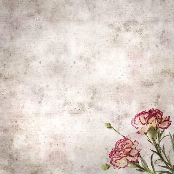 Kare biçiminde eski desenli kağıt arka planda krema ve koyu kırmızı karanfil çiçeği 