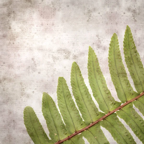 Eğreltiotu Yapraklı Eski Kağıt Kare Arka Plan — Stok fotoğraf