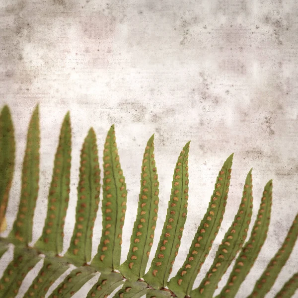 Stylish Textured Old Paper Square Background Fern Leaves Close — Stock Photo, Image